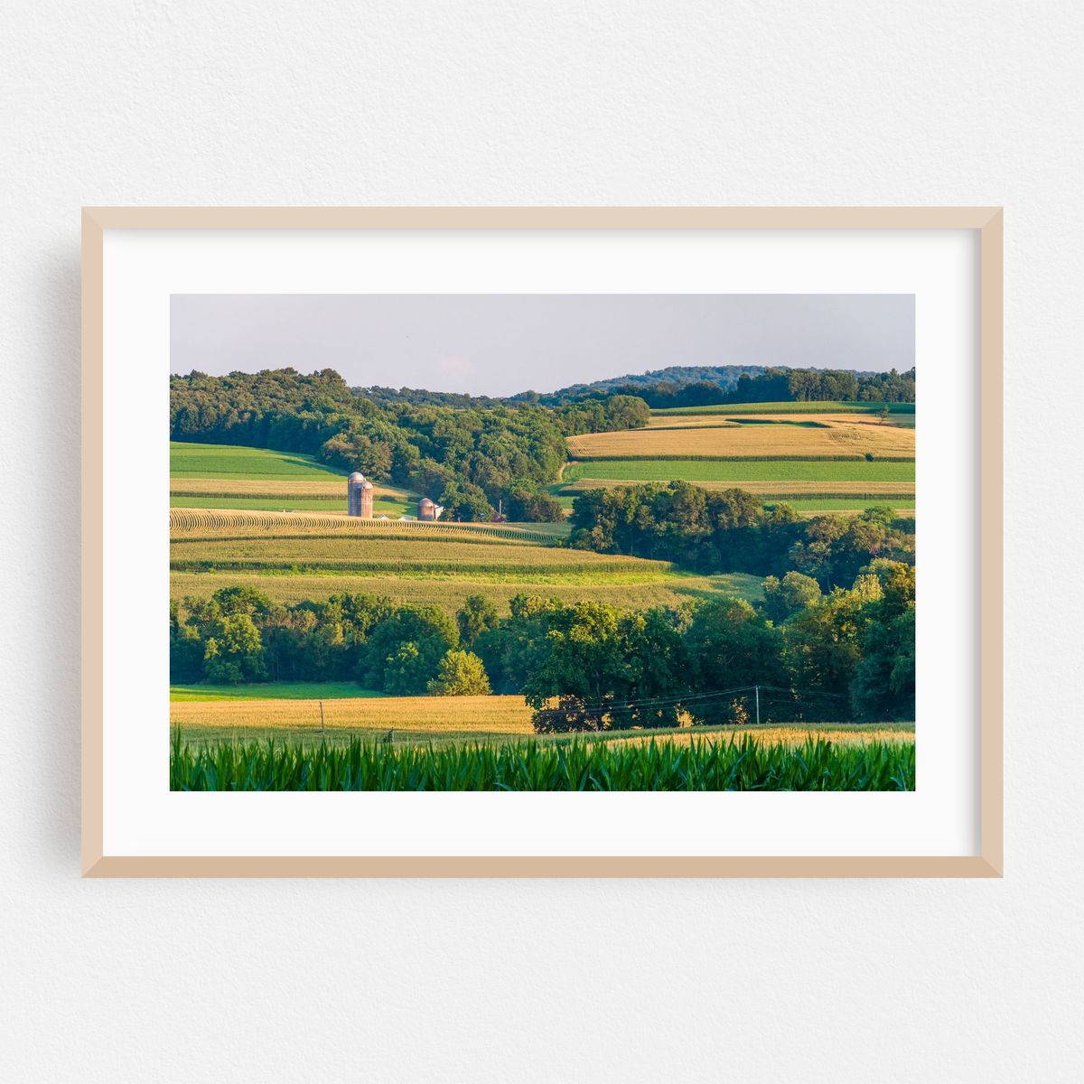 Patches & Layers – image 1 of 6
