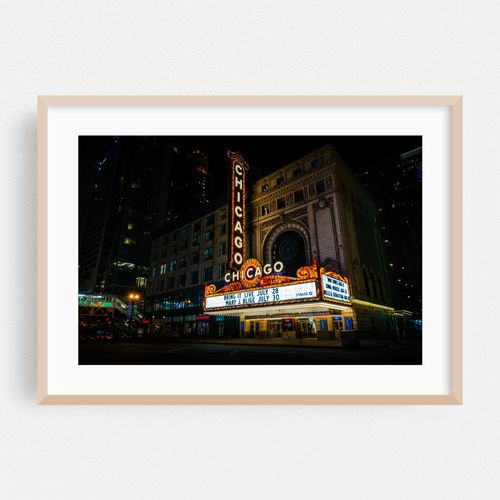 The Chicago Theater