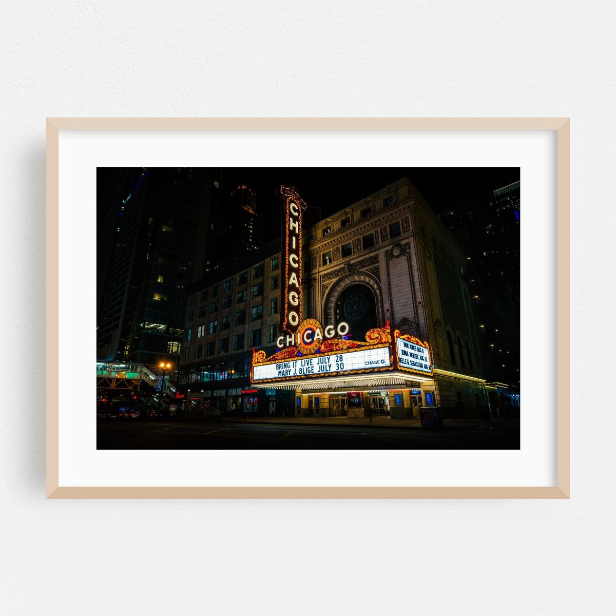 The Chicago Theater – image 1 of 6