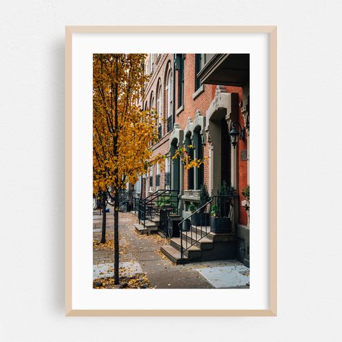 Autumn color