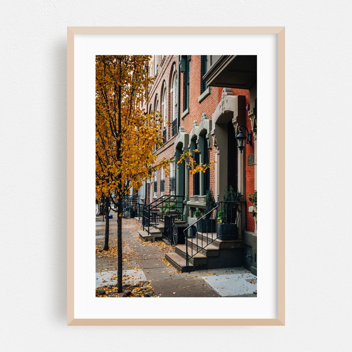 Autumn color – image 1 of 16