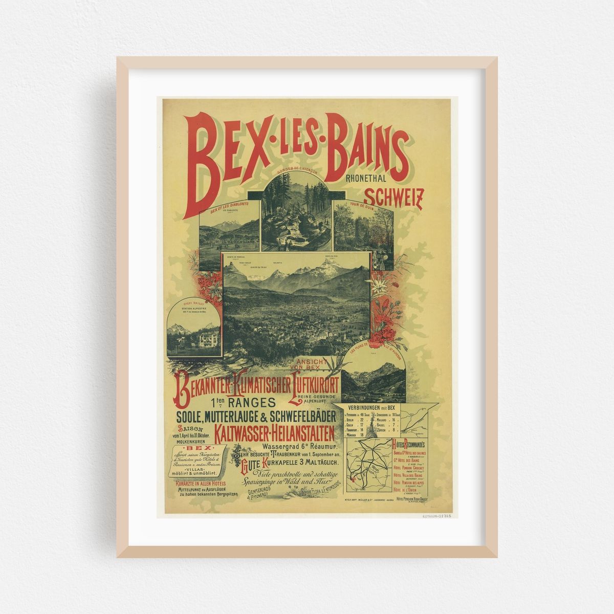 Bex-Les-Bains, Rhonethal, Schweiz (1890) – image 1 of 11