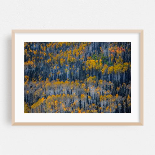 Autumn at the San Juans