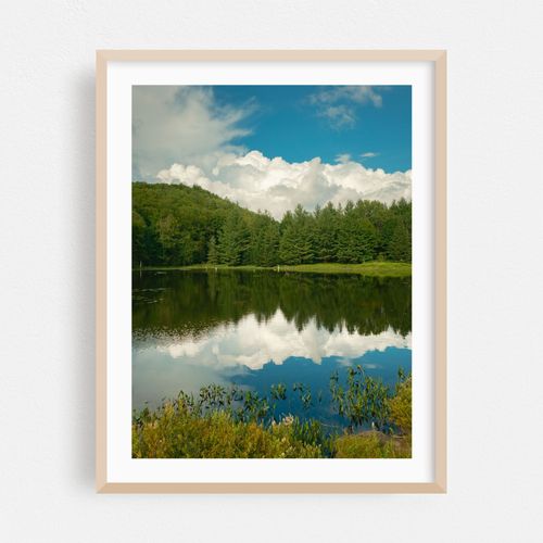 Lake Alma, Averys Place 05