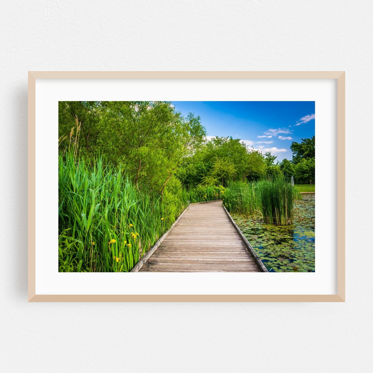Patterson Pond – image 1 of 6
