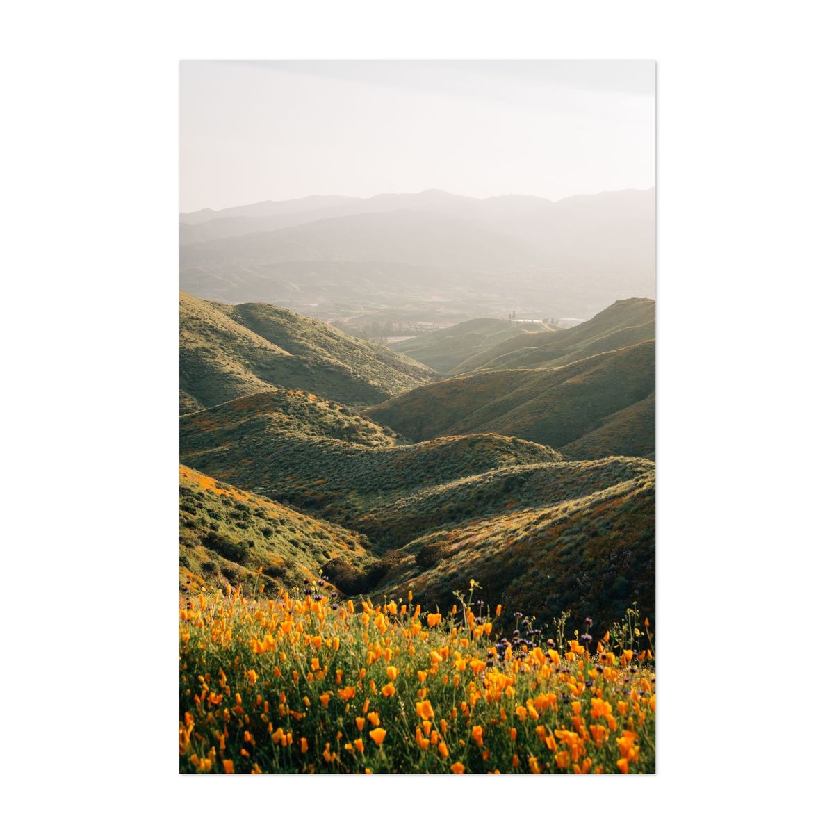 Walker Canyon Views 02 – image 1 of 2