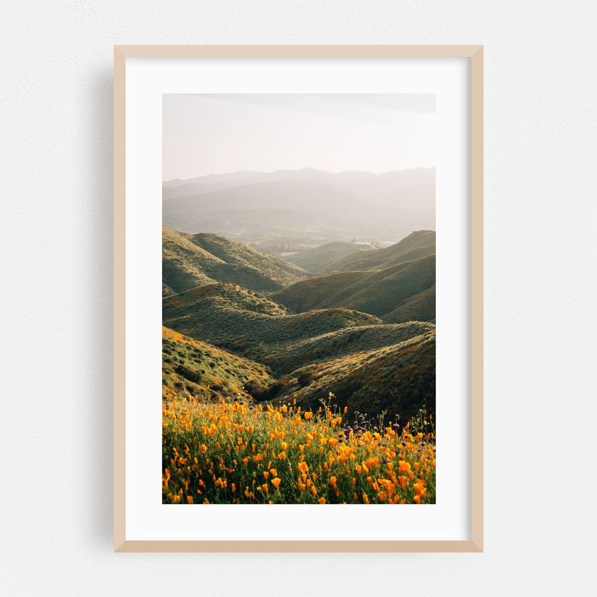 Walker Canyon Views 02 – image 1 of 16