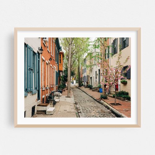 Panama Street, Philadelphia 02