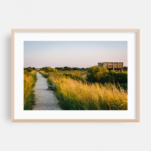 Trail & Blind