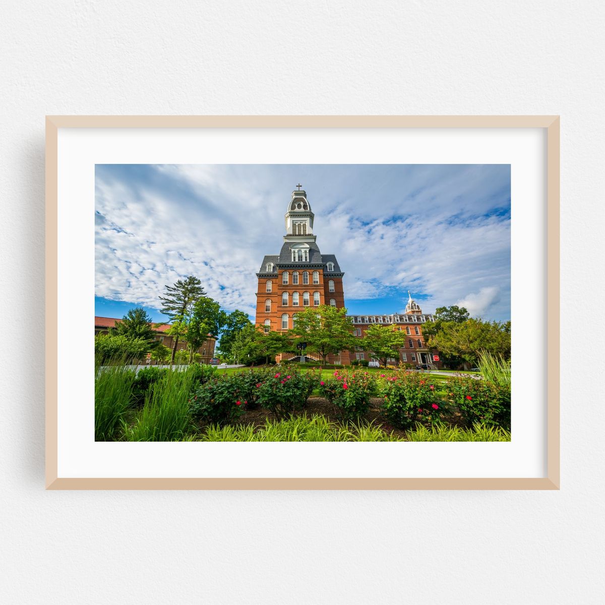 Gibbons Hall – image 1 of 6