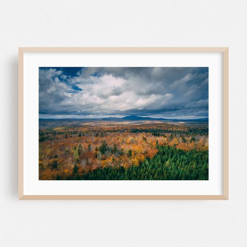 North Woods Autumn 01