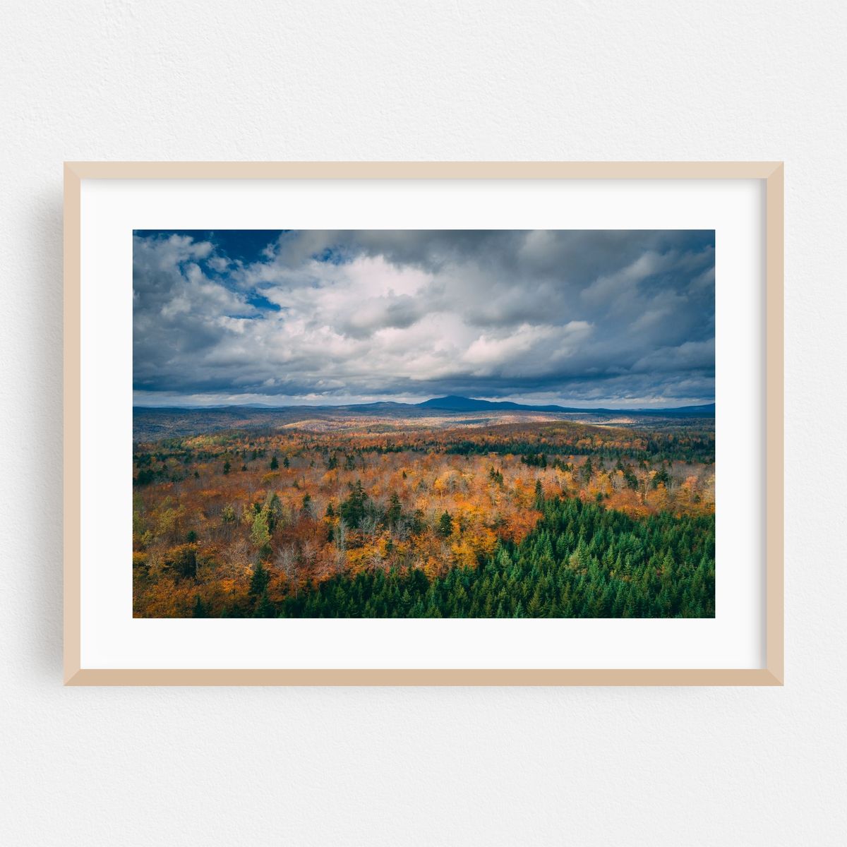 North Woods Autumn 01 – image 1 of 6