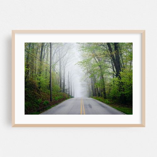 Foggy Glen Rock