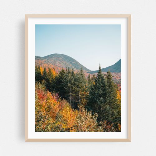 White Mountain Overlook