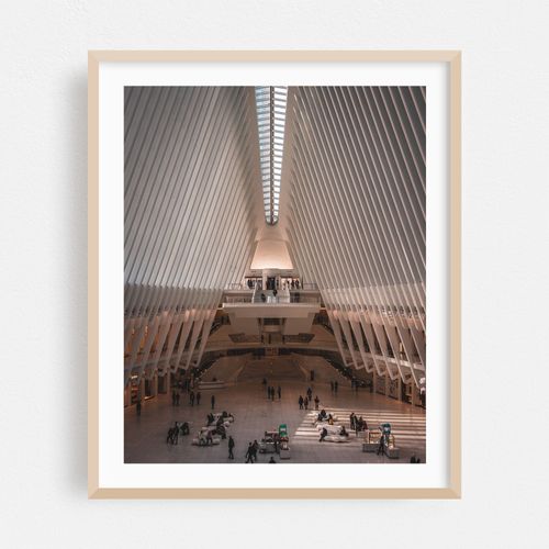 Oculus 11