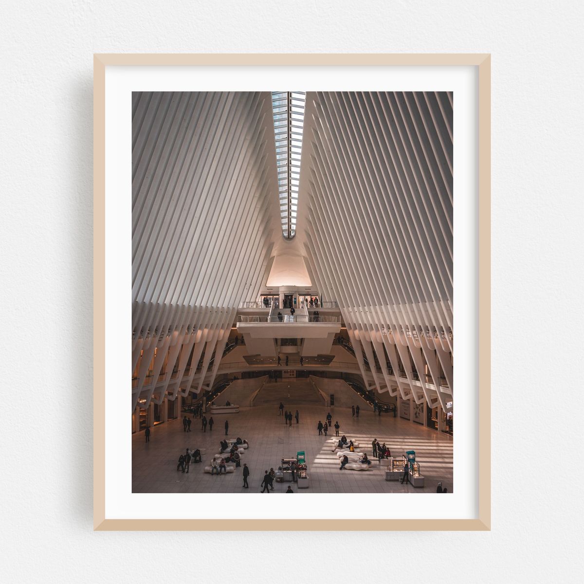 Oculus 11 – image 1 of 16