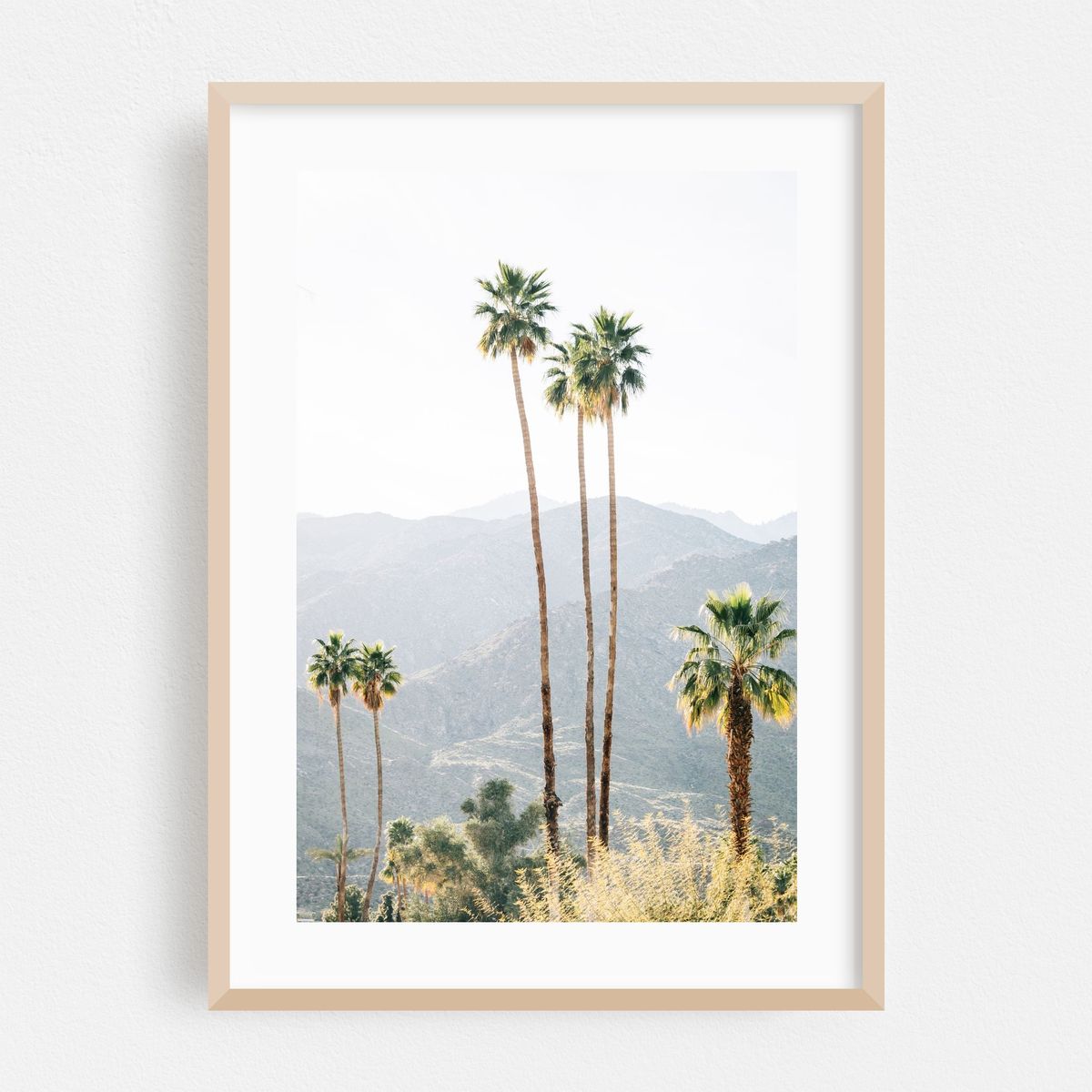 Palms, Palm Springs 02 – image 1 of 16