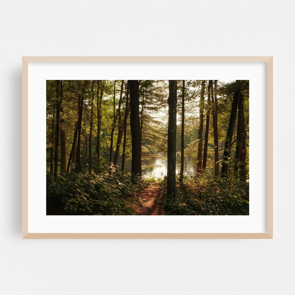 In the Woods at Puffers Pond, Amherst 04 – image 1 of 6