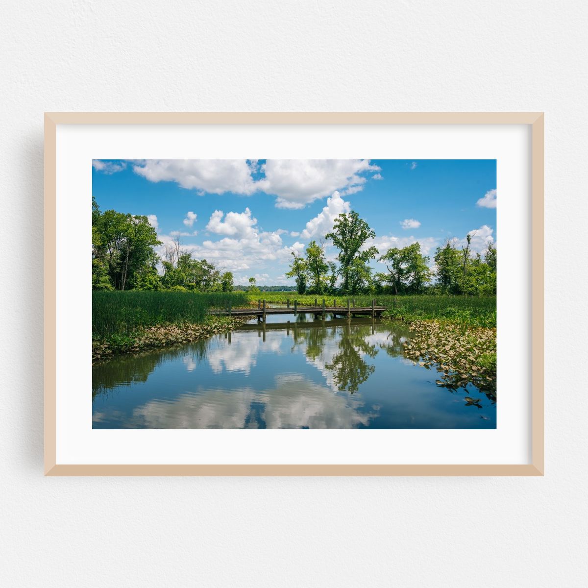 Along Mount Vernon Trail – image 1 of 6