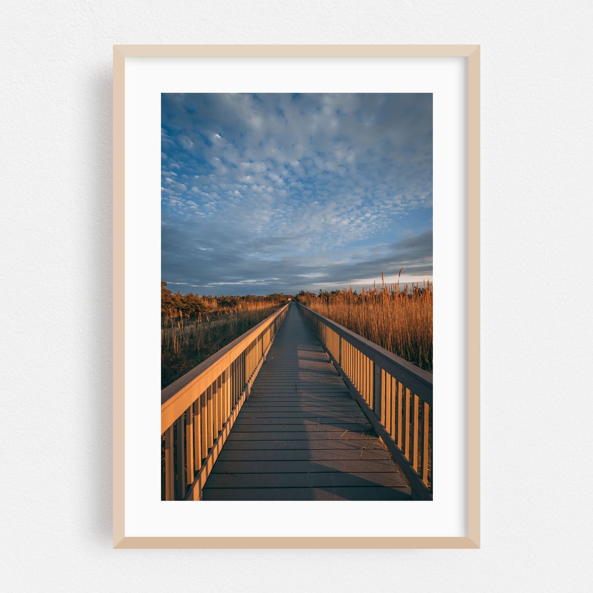 Fire Island Boardwalk 02 – image 1 of 16