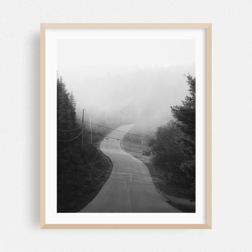 Fog in Cutler B&W 02