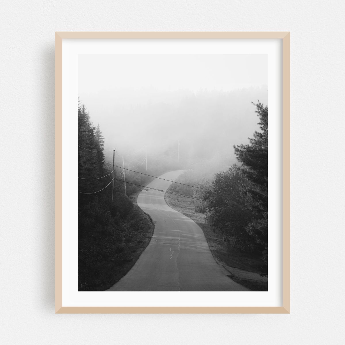 Fog in Cutler B&W 02 – image 1 of 12