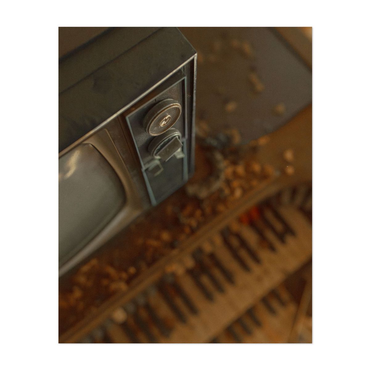 Lostland House 02 – image 1 of 2