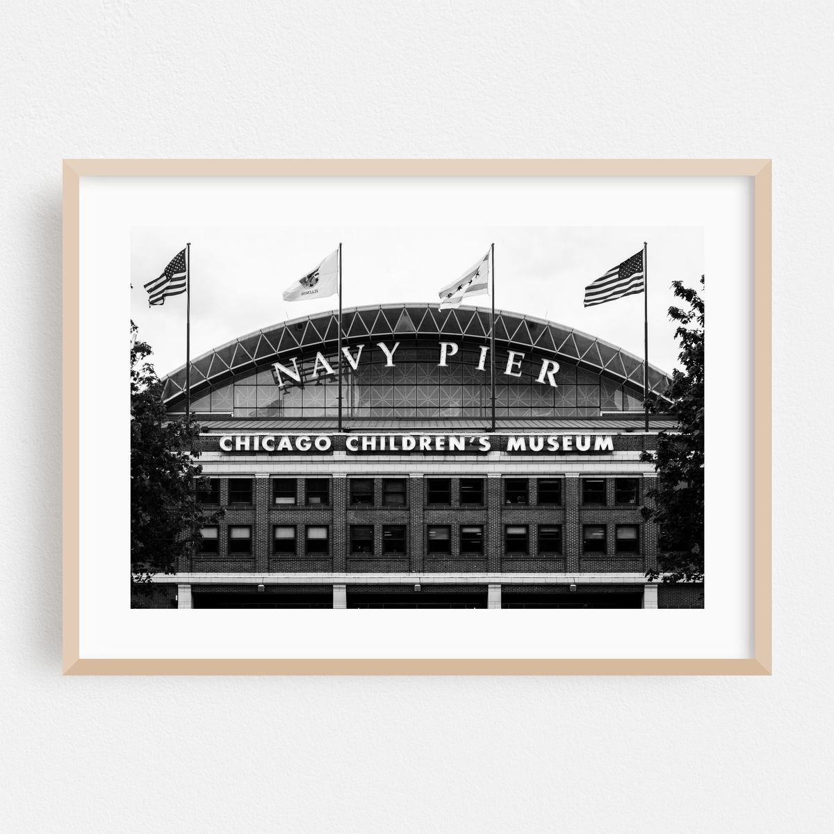 Navy Pier B&W – image 1 of 6