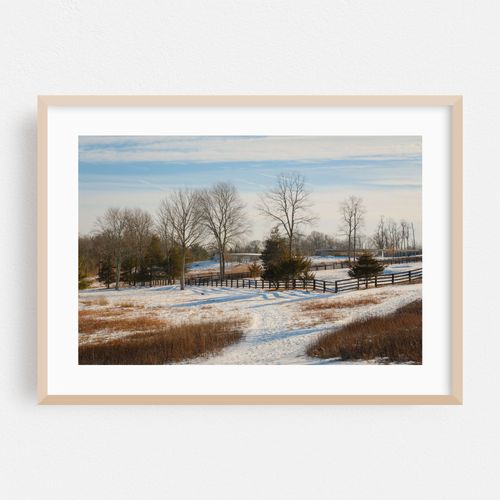 Snowy Grace Farms, New Canaan