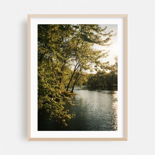 Hulberts Pond at Arcadia, Easthampton