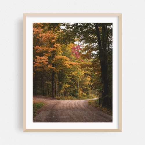 Catskills Autumn 02