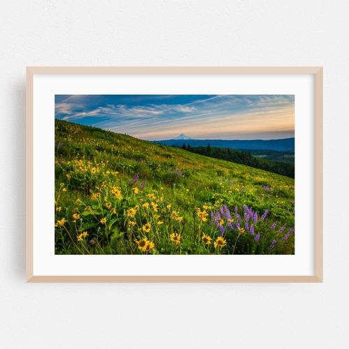 Distant Mount Hood