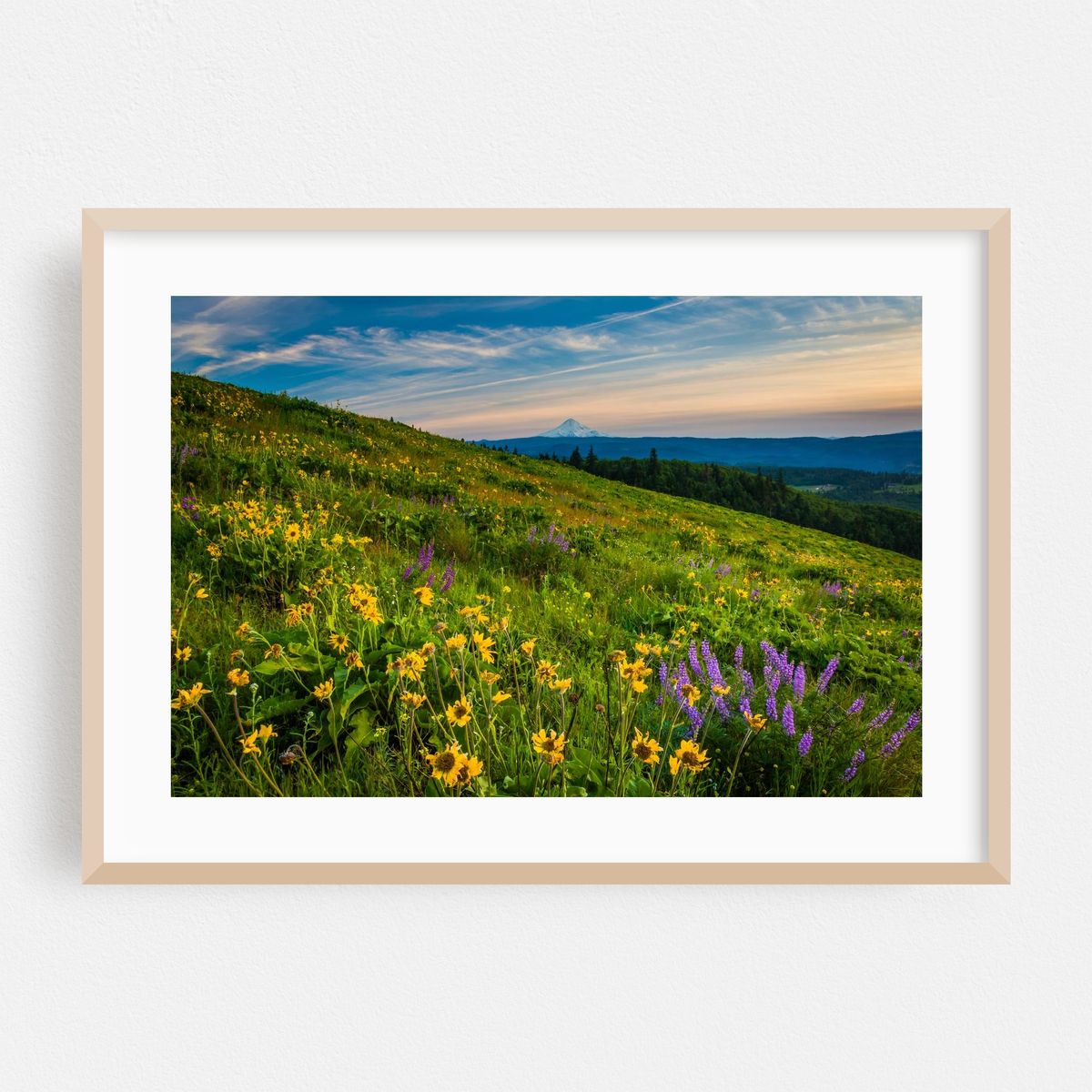 Distant Mount Hood – image 1 of 6