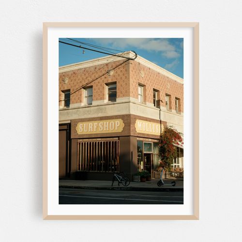 Mollusk Surf Shop, Venice Beach
