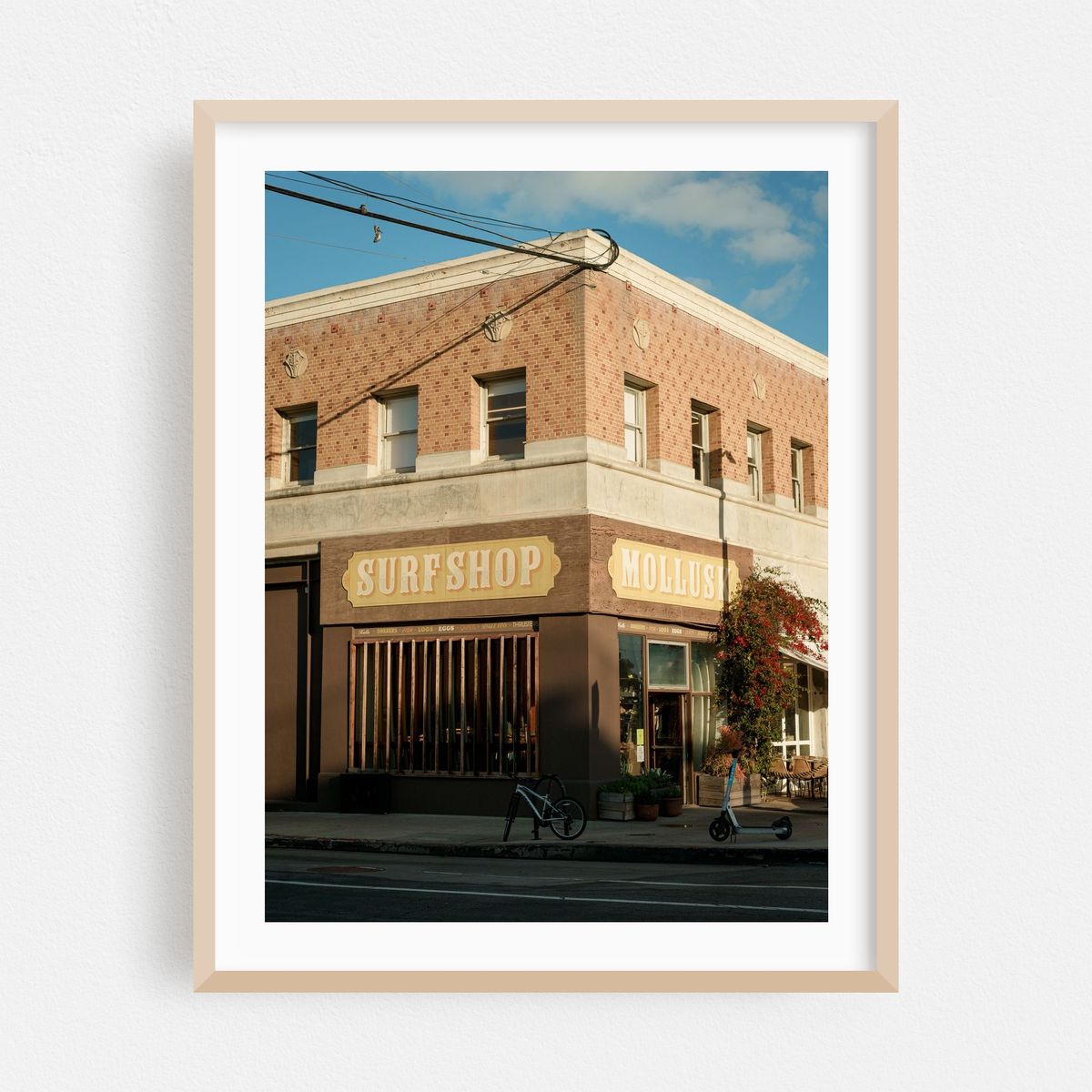 Mollusk Surf Shop, Venice Beach – image 1 of 3