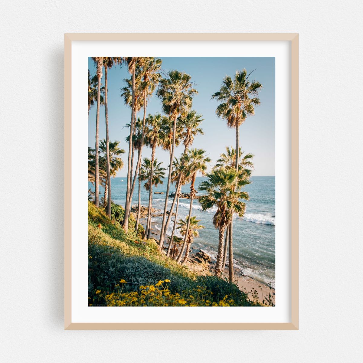 Palms at Heisler Park, Laguna Beach – image 1 of 3