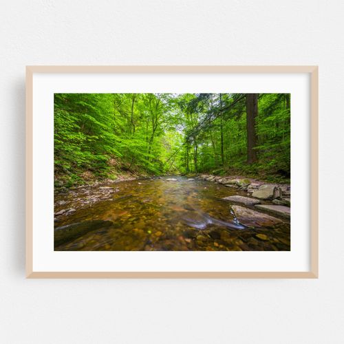 Kitchen Creek No. 2