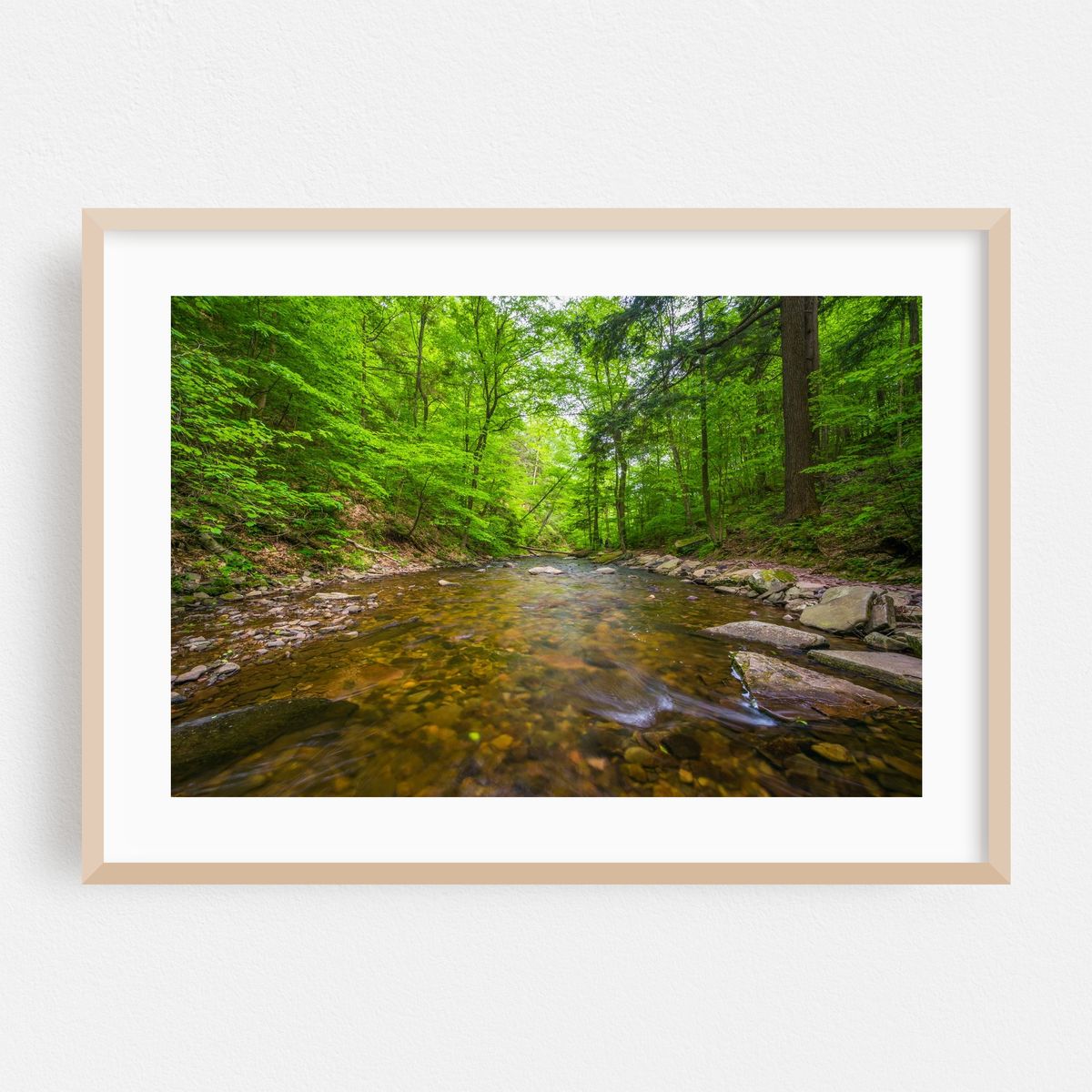 Kitchen Creek No. 2 – image 1 of 6
