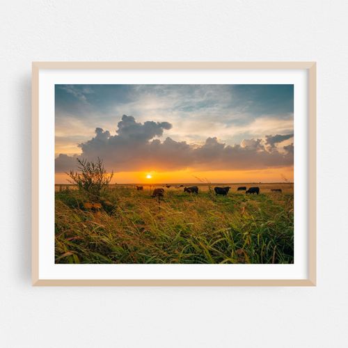 Sunrise in Shamrock 01
