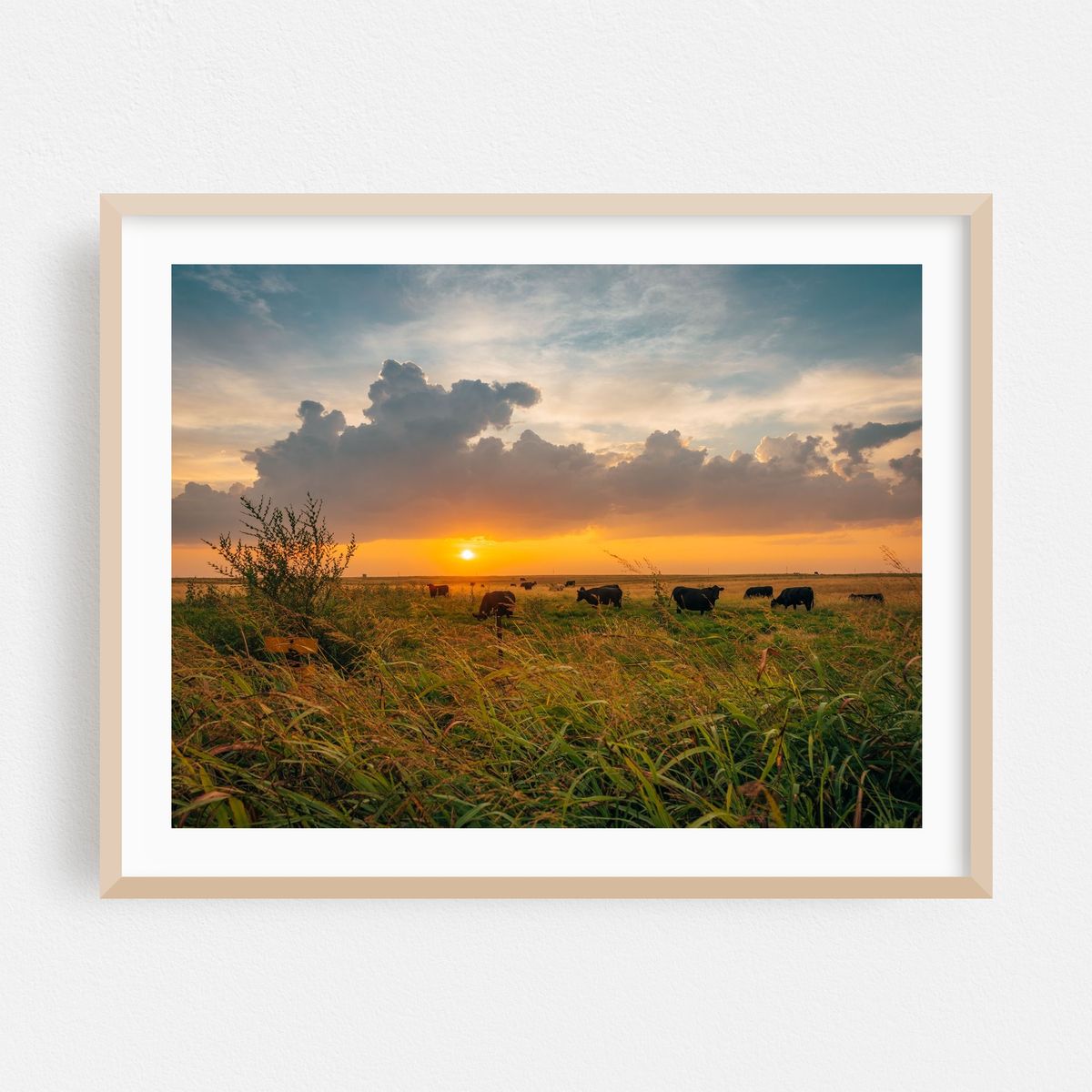Sunrise in Shamrock 01 – image 1 of 3