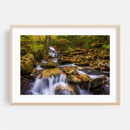 Stoney Fork Cascades