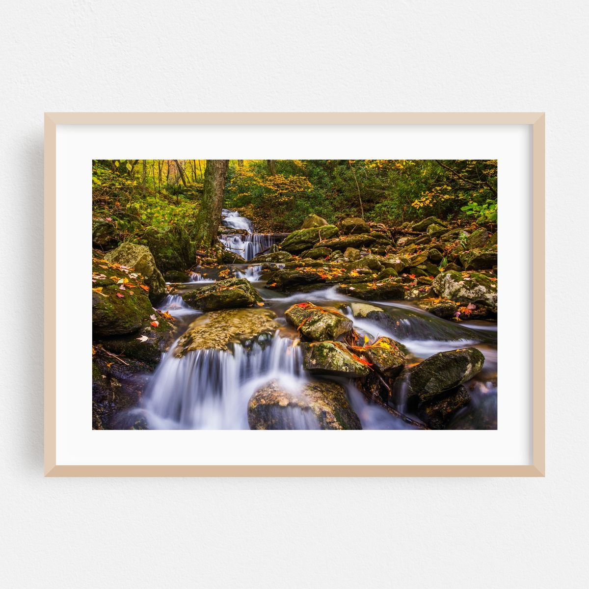 Stoney Fork Cascades – image 1 of 6