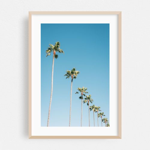 Diagonal Palms