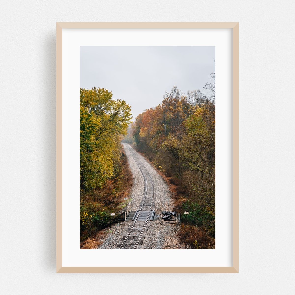 Along the Tracks, Blue Ridge – image 1 of 16