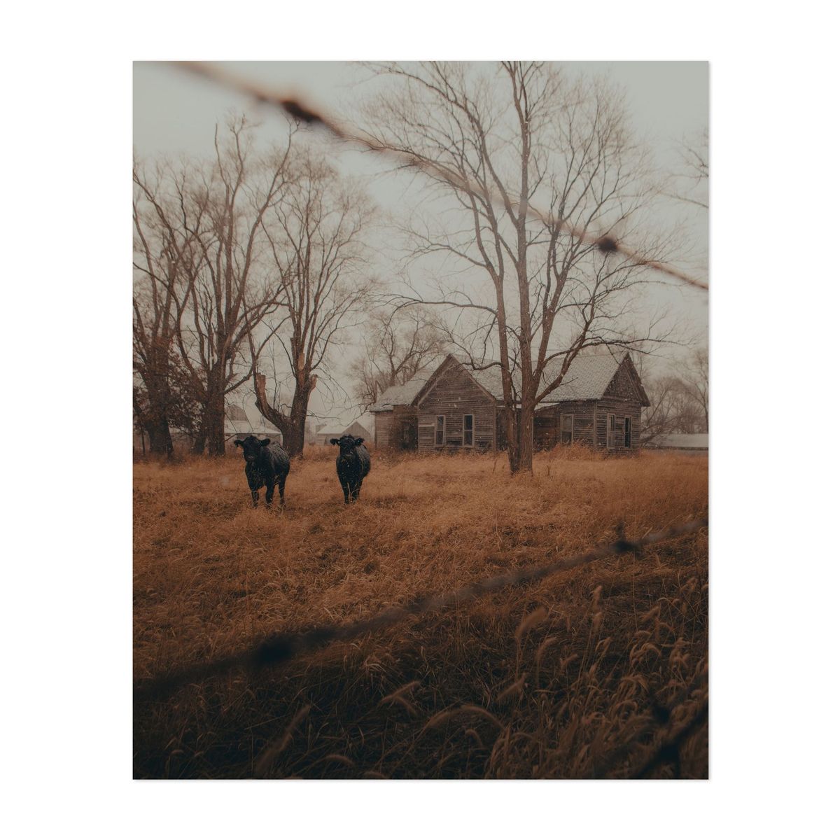 Near Woodville 01 – image 1 of 2