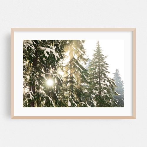 Winter Light Rays