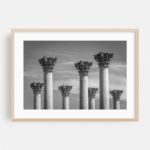 Capitol Columns B&W