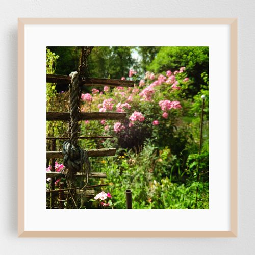 Rope in Rustic Garden