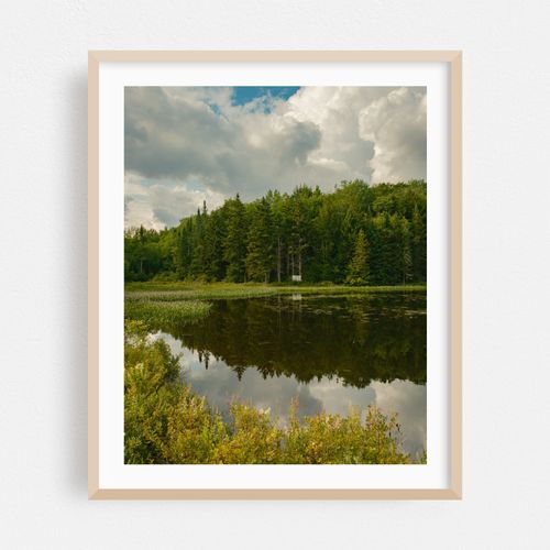 Lake Alma, Averys Place 06