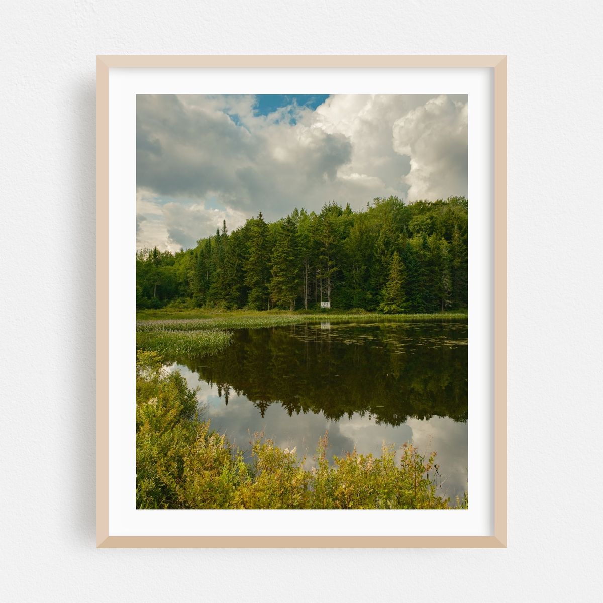 Lake Alma, Averys Place 06 – image 1 of 12